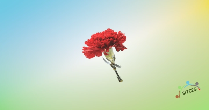 25 de abril: A LIBERDADE NÃO TEM PARTIDO